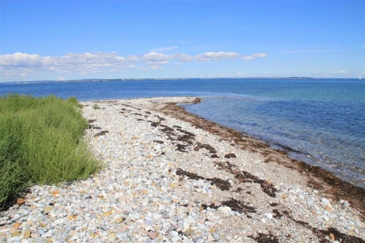 शादियों का द्वीप – डेनमार्क का एरो