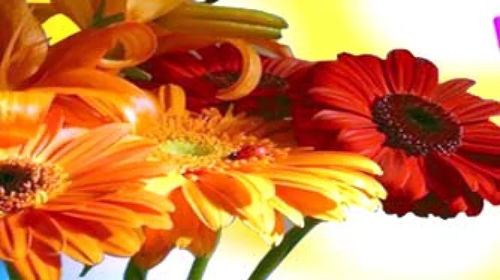 8 September Birthday