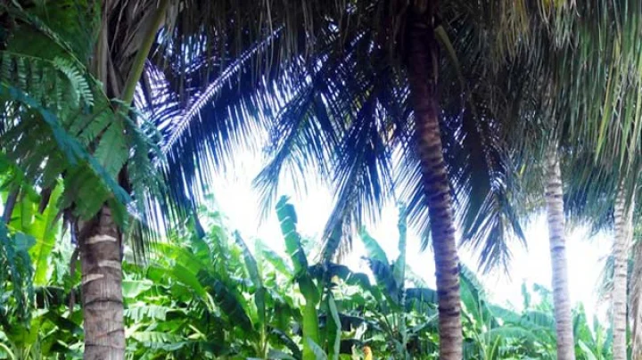 environment