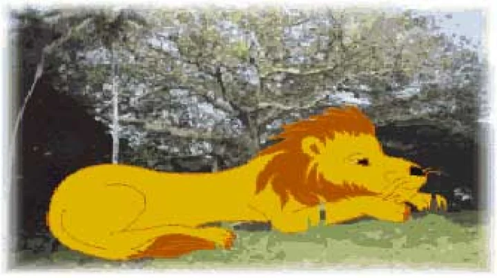 jungle poem in hindi