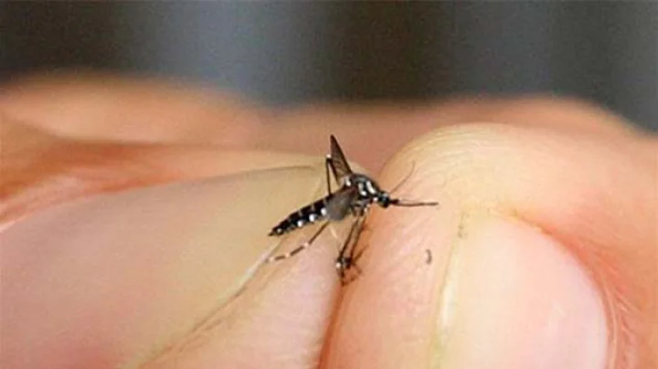 मनुष्य की क्रूूरता दर्शाती लघुकथा : प्रतिघात