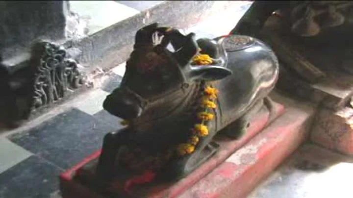 nandi ke kaan mein kya bole