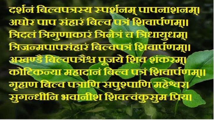 महादेवाला या मंत्रासह चढवा बेल, मिळवा 10 लाख पट पुण्य