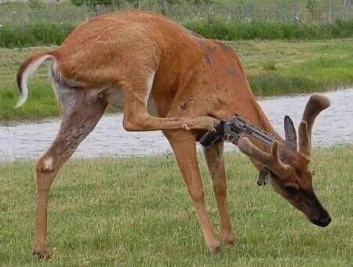 सलमान खान