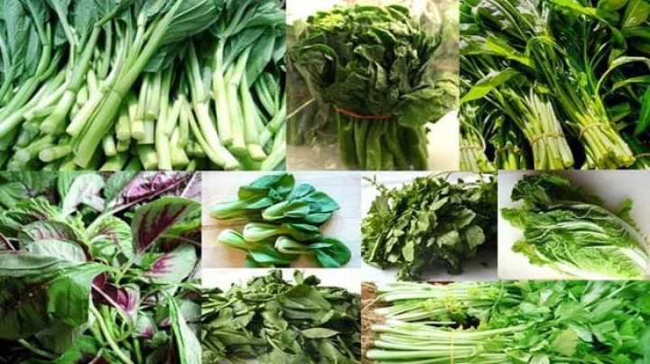 green vegetable