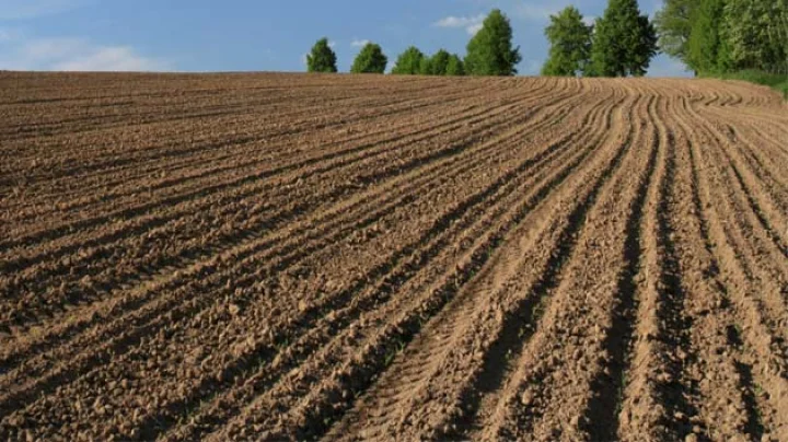 Lack of land and resources