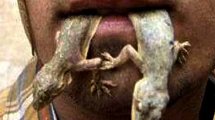 Sihore news in hindi