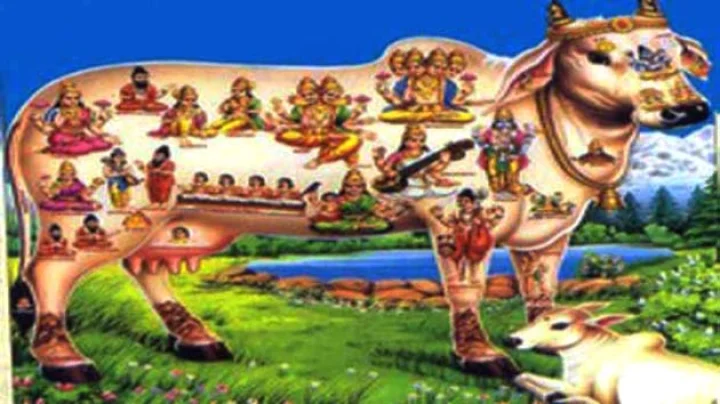Gopashatami pujan
