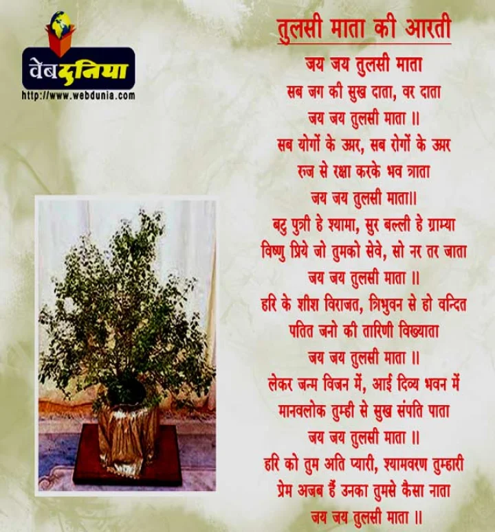 jai tulsi mata