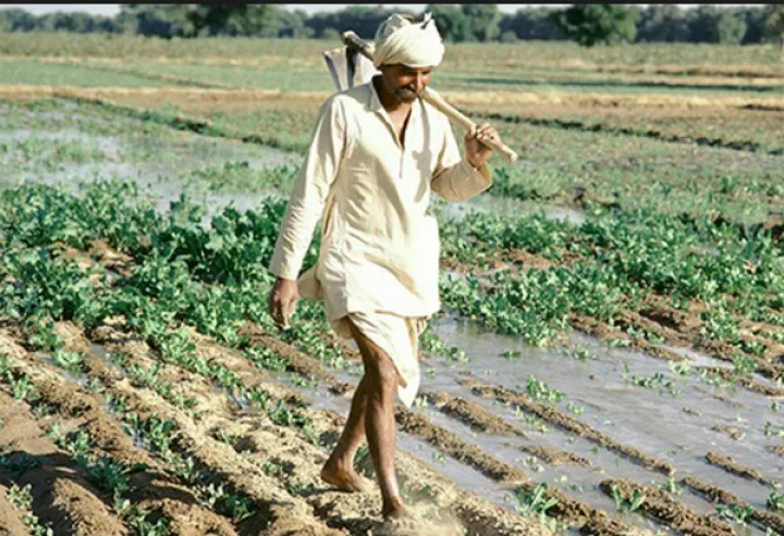 Farming