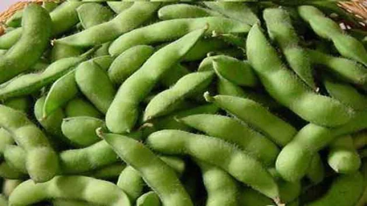 सोयाबीन