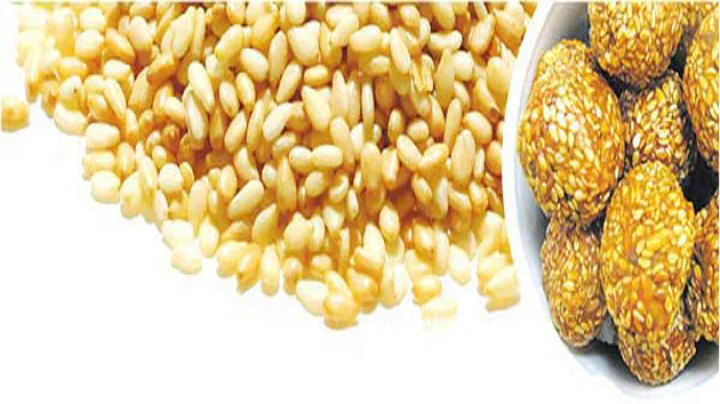 मकर संक्रांति