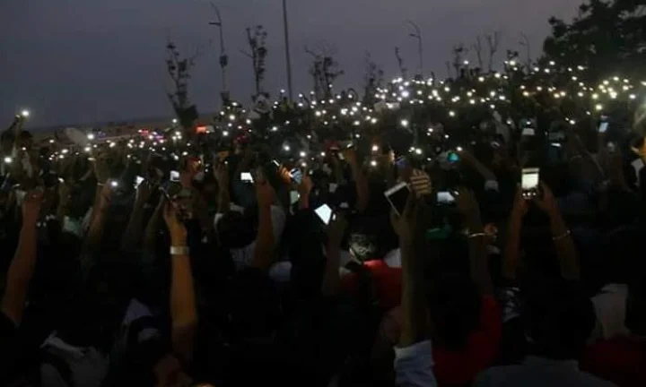 आपबीती : जल्लीकट्टू हिंसा की वजह से भागना पड़ा होटल छोड़कर...