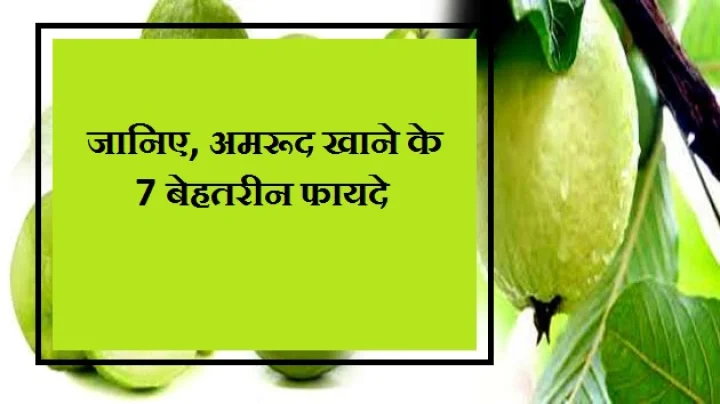 अमरूद