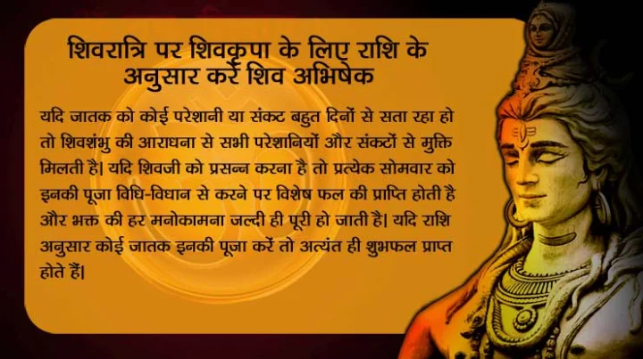 Shiva Puja According to Sign