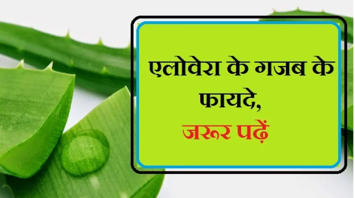 Benefits of using Aloe Vera
