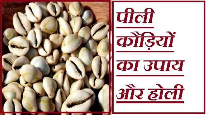 पीली कौड़ियों का उपाय