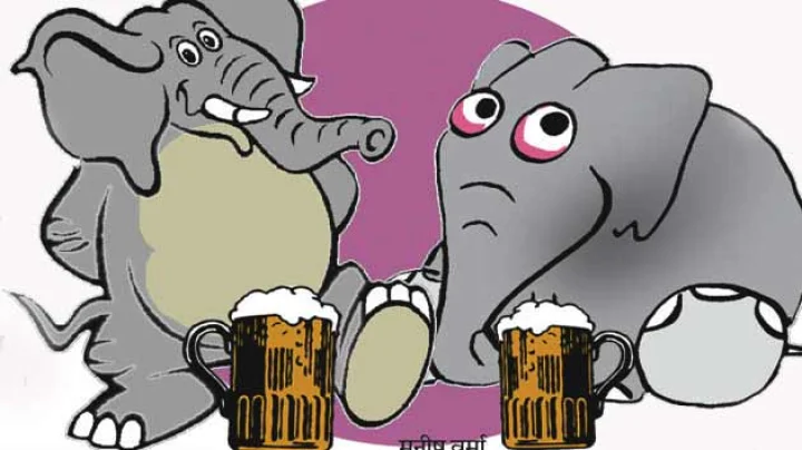Elephant Poems