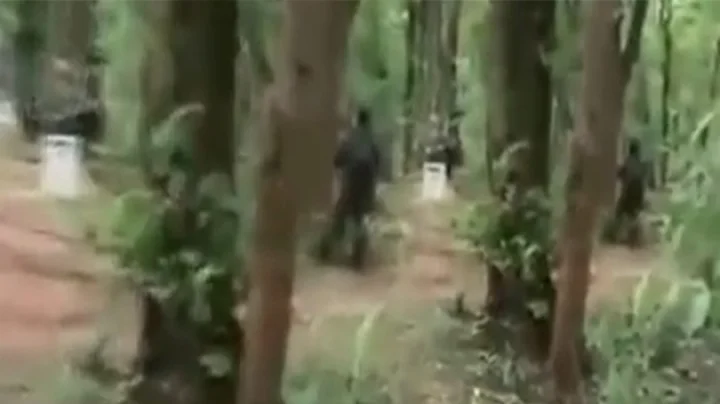 Maoists