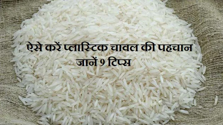 प्लास्ट‍िक चावल