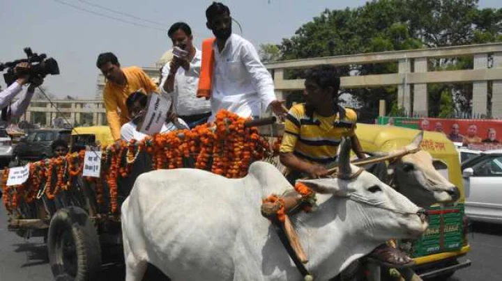 BJP