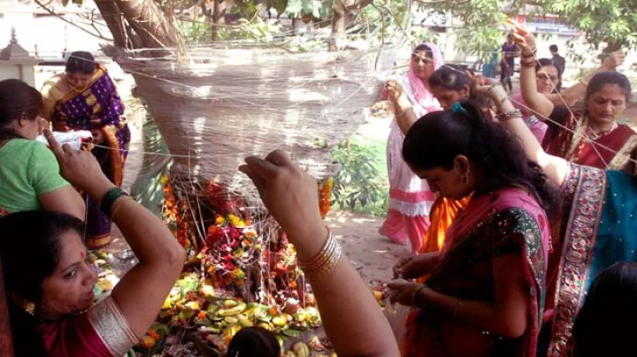 2017 Vat Savitri Amavasya