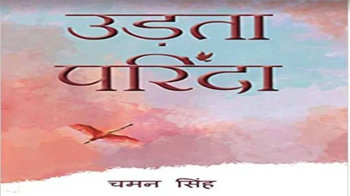 पुस्तक समीक्षा : उड़ता परिंदा