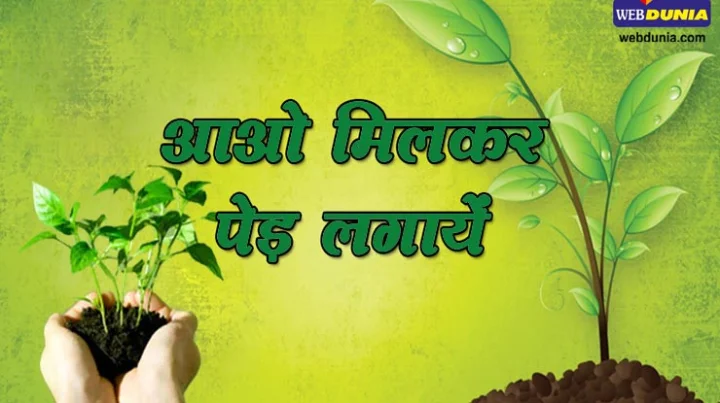 Vastu Tips for plantation