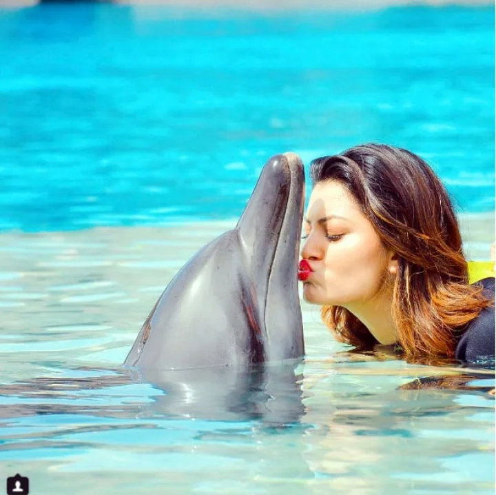 उर्वशी रौटेला