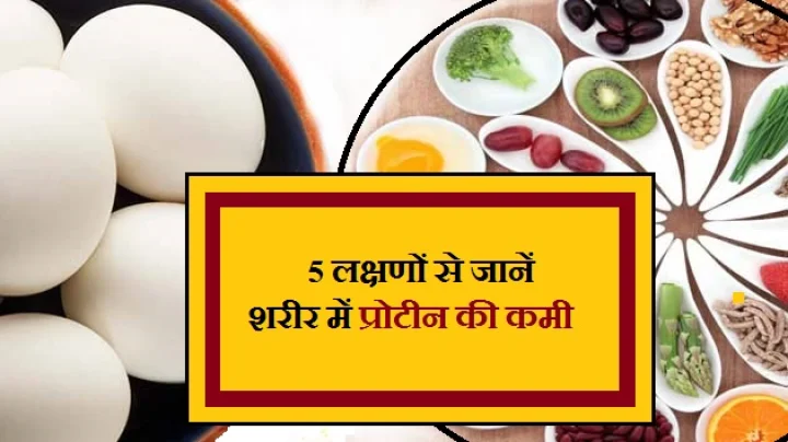 प्रोटीन