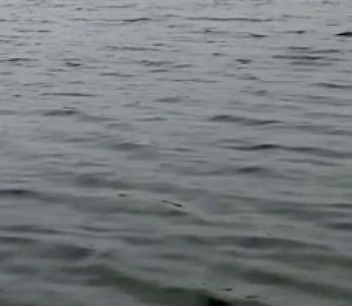 Engineering college student