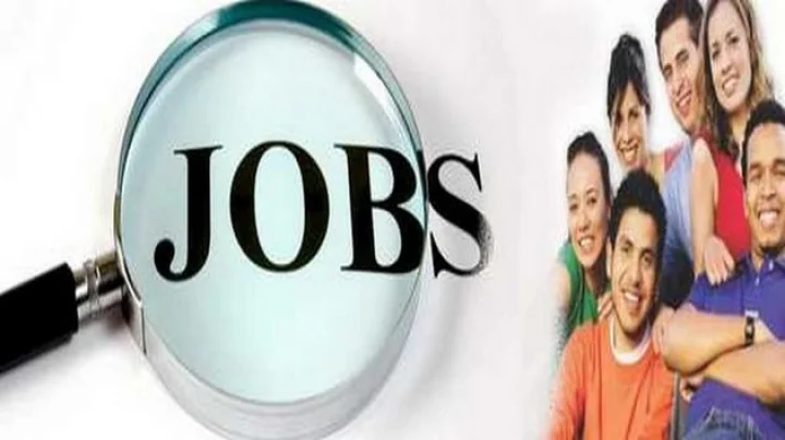 Government jobs