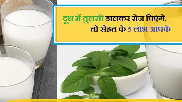 तुलसी