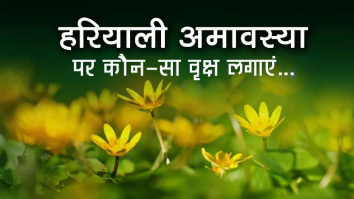 2017 Hariyali Amavasya