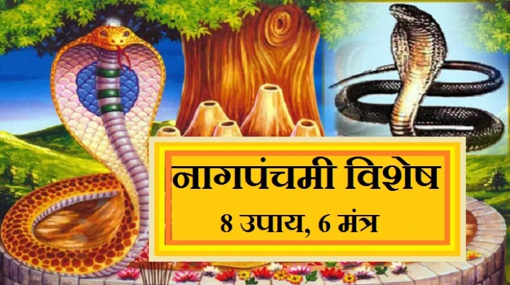 नागपंचमी