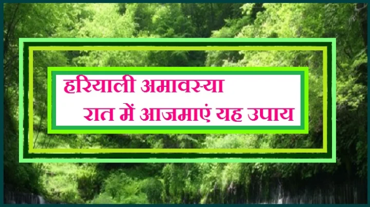 हरियाली अमावस्या आज : खुशहाली के लिए रात में करें यह उपाय