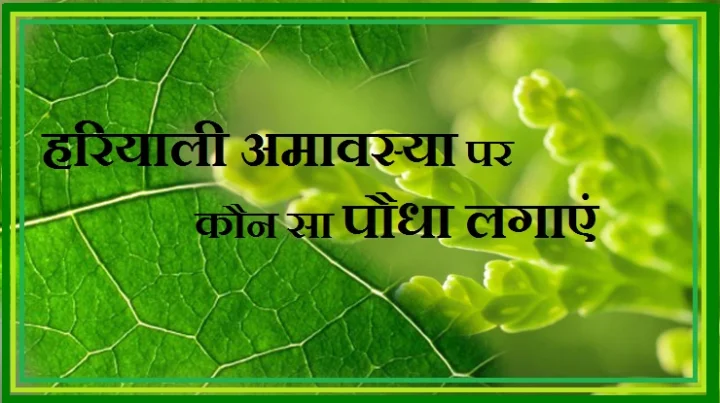 हरियाली अमावस्या का पौराणिक महत्व