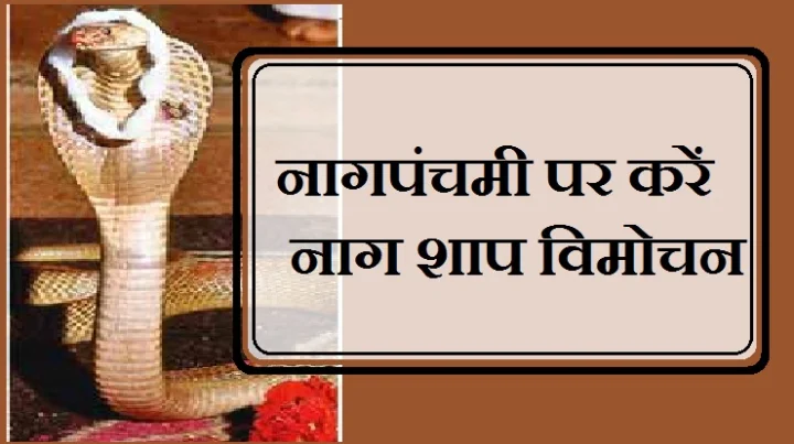 Kaal Sarp Yog