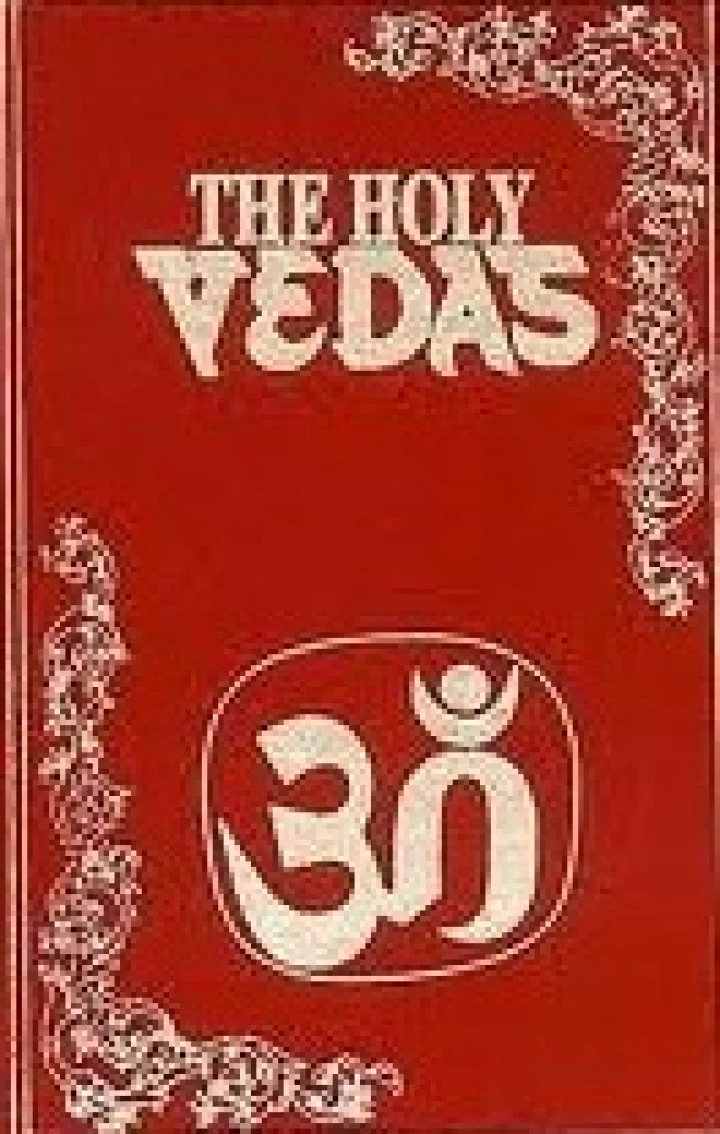 वेद खो गए, तो हिंदू भटक गए...