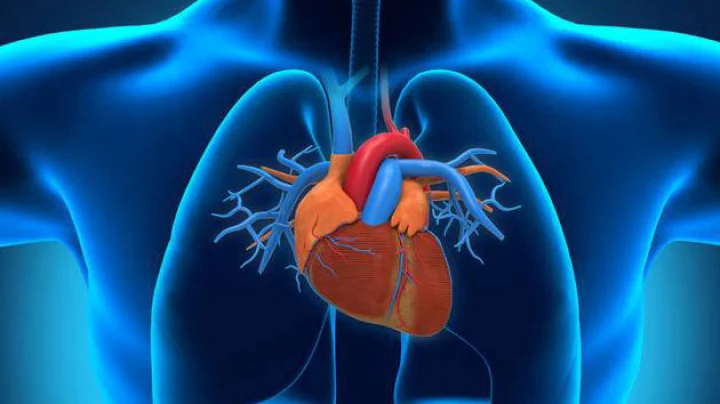 heart