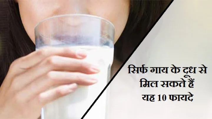 गाय के बारे में