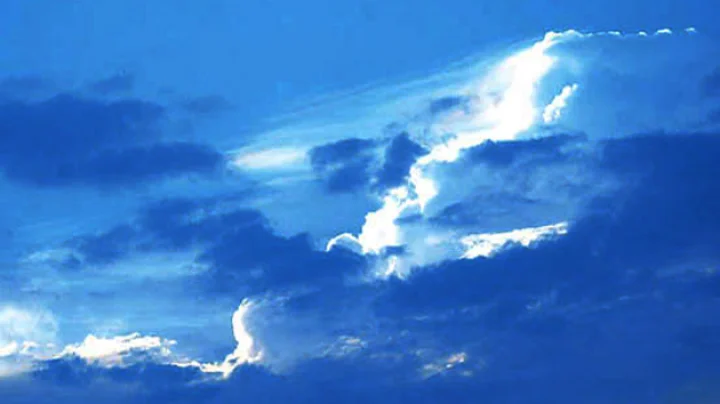 onate money for harvey