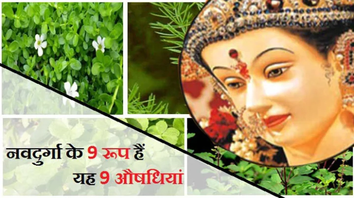 नवदुर्गा