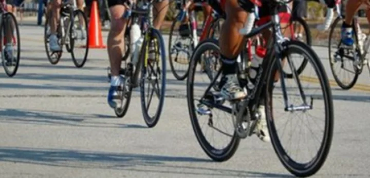 Participant