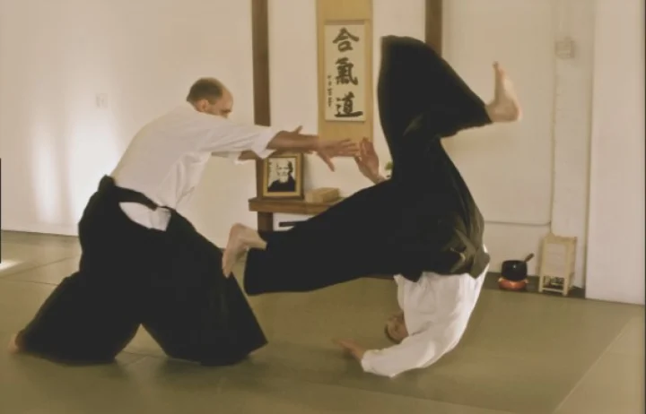 Aikido martial arts