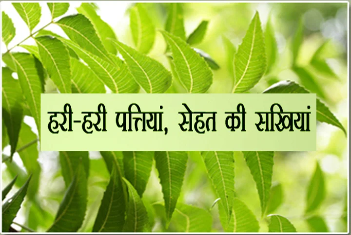 हरी-हरी पत्तियां, सेह‍त की 13 सखियां