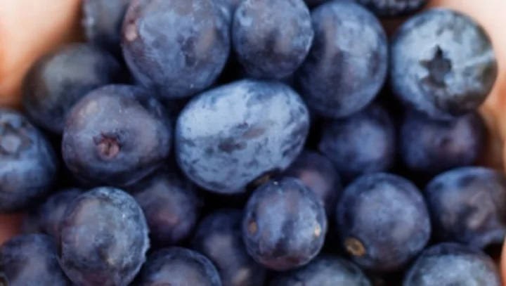 blue berry