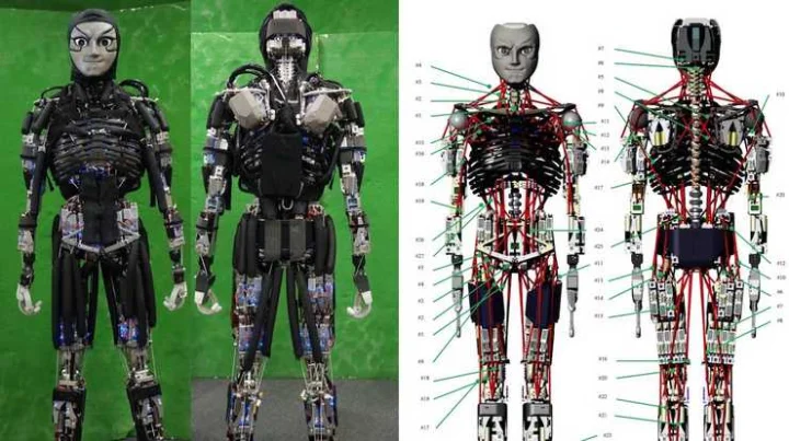 Robotics