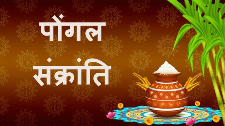 How to celebrate Pongal festival