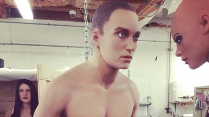 मेल सेक्स रोबॉट्स विद बायॉनिक पीनिसेस